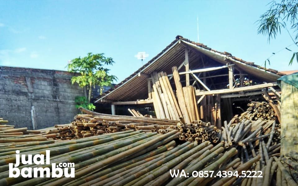 Tempat Jual Bambu  Kota  Yogyakarta  Daerah  Istimewa  